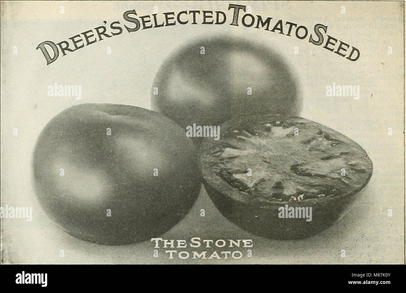 Dreer's market gardeners' wholesale price list - reliable vegetable seeds, flower seeds, garden requisites, implements, fertilizers insecticides, etc (1916) (20856005409) Stock Photo