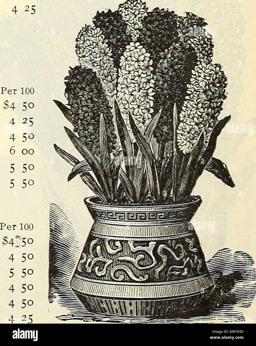 Dreer's wholesale price list - bulbs plants flower seeds, vegetable seeds, grass seeds, fertilizers, insecticides, tools, etc (1903) (20867677738) Stock Photo