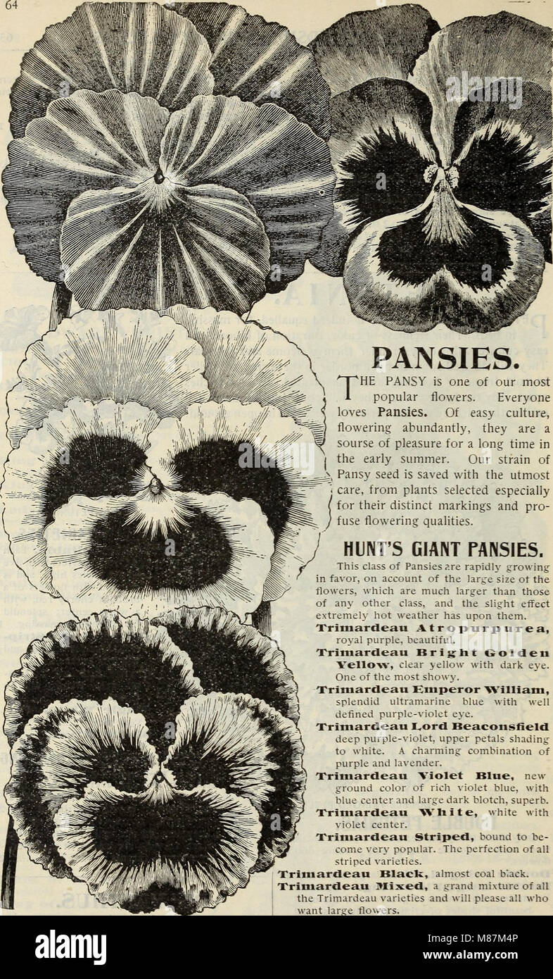 *E. H. Hunt Seedsman* (1895) is a catalog offering a range of seeds