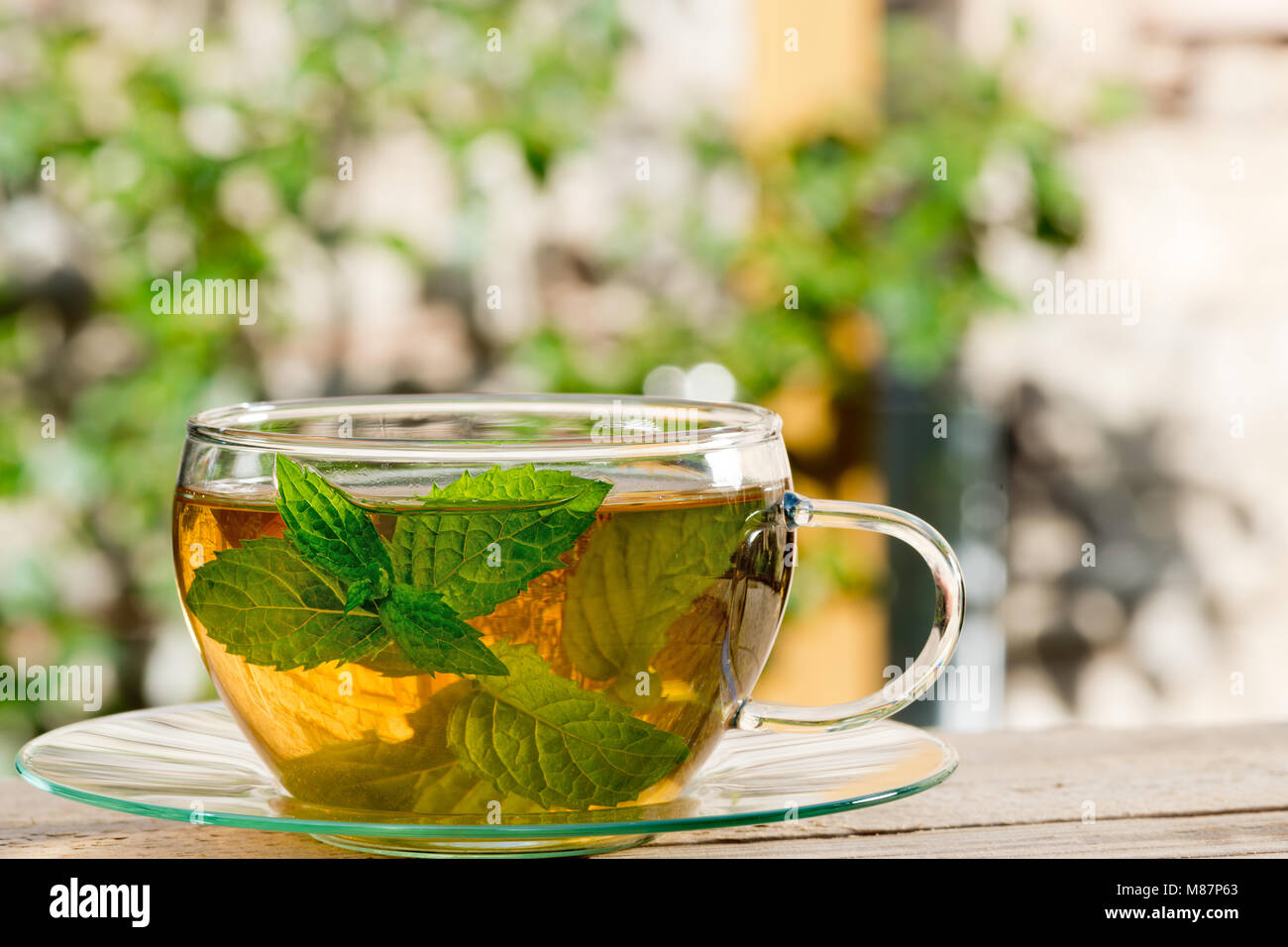 Glass of Tea on the Wooden Desk in the Garden Stock Photo