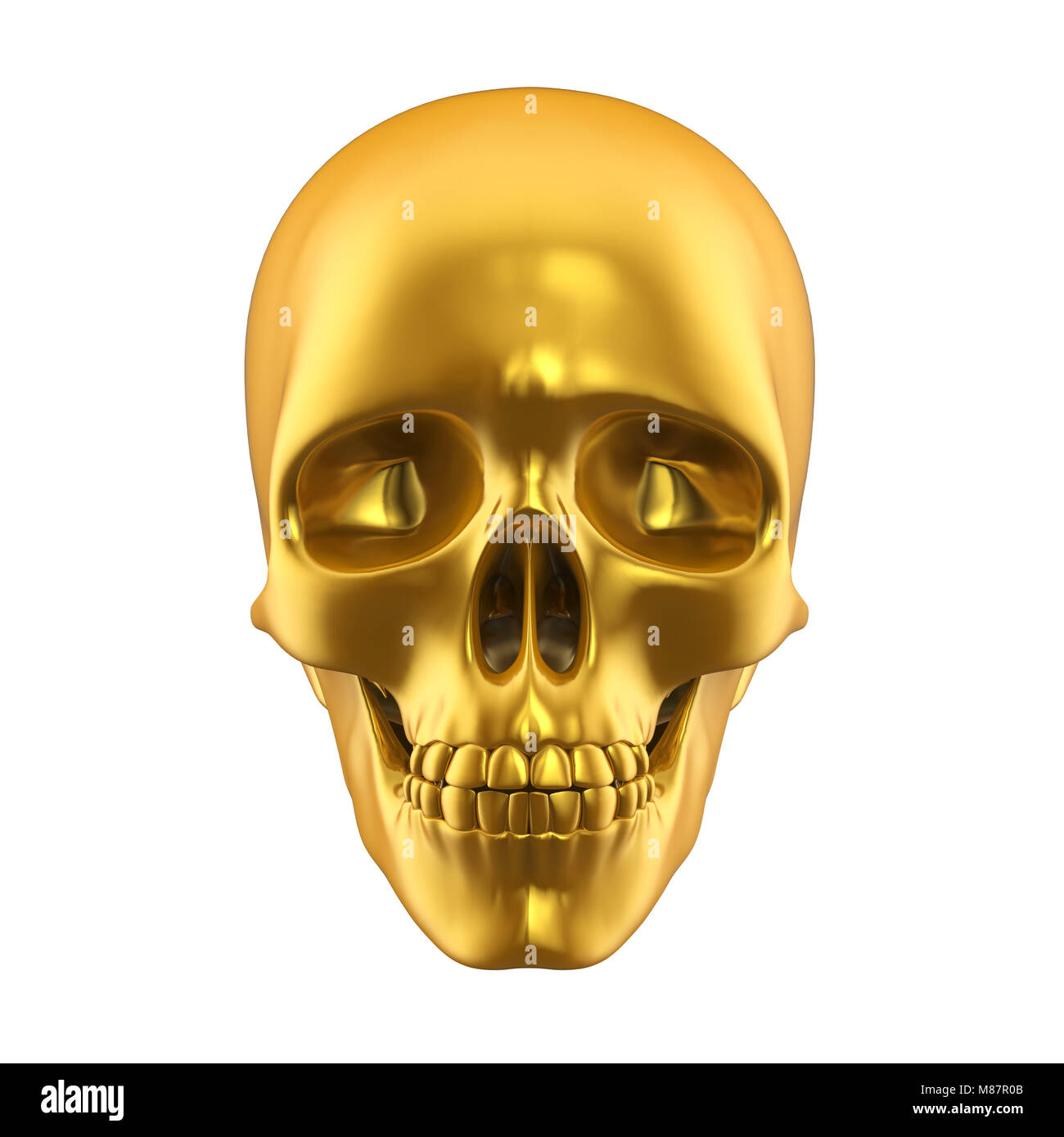 Human skull drawing on transparent background PNG | SimilarPNG, image size:1300x1390
