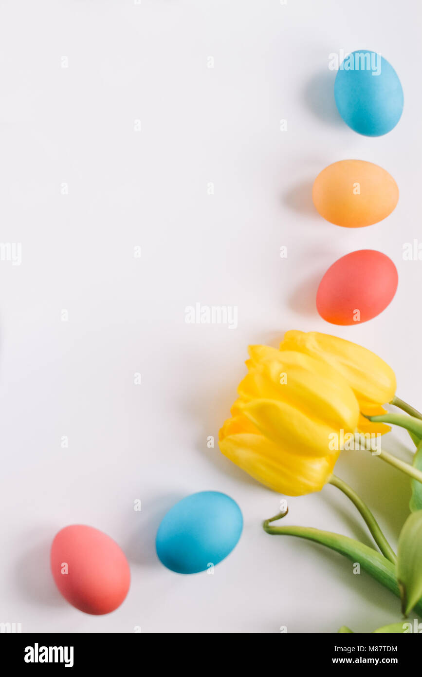 Easter background with Easter eggs and spring flowers. Top view with ...