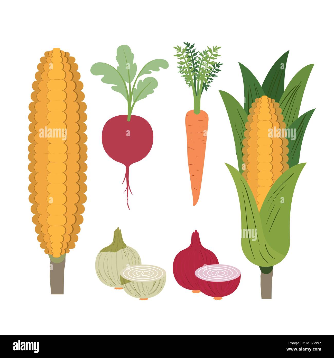 white background with colorful set of vegetables Stock Vector Image ...