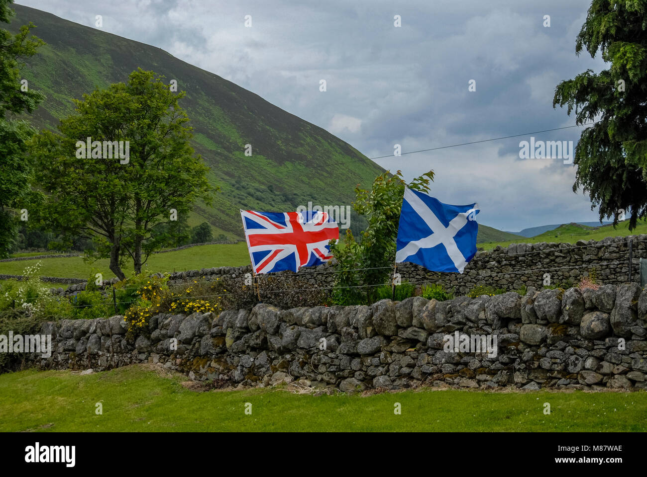 Escocia vs Reino Unido Stock Photo