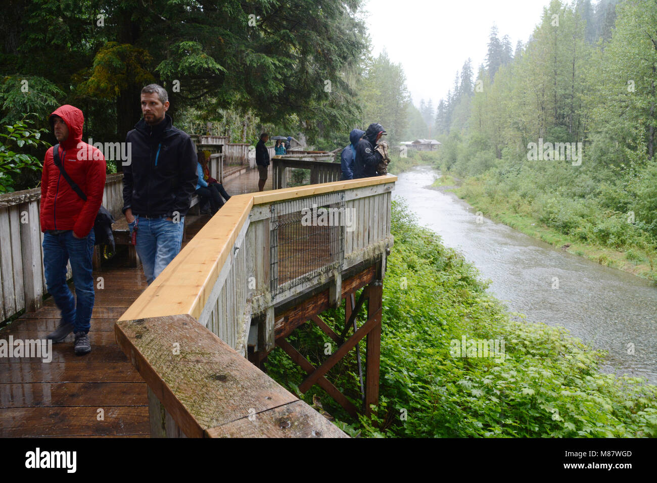 Tourists on the bear viewing platform at the Fish Creek Wildlife Observation Site, in the Tongass National Forest, near Hyder, Alaska. Stock Photo
