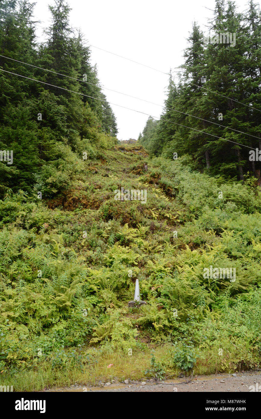 The Canada-US boundary line running up a forested hilltop separating the towns of Hyder, Alaska (below) and Stewart, British Columbia. Stock Photo