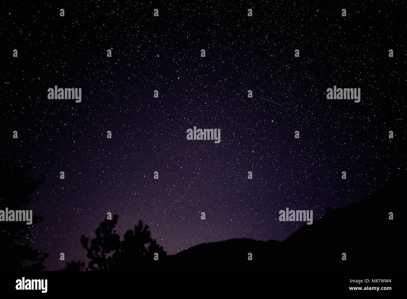 Starry Night Stock Photo