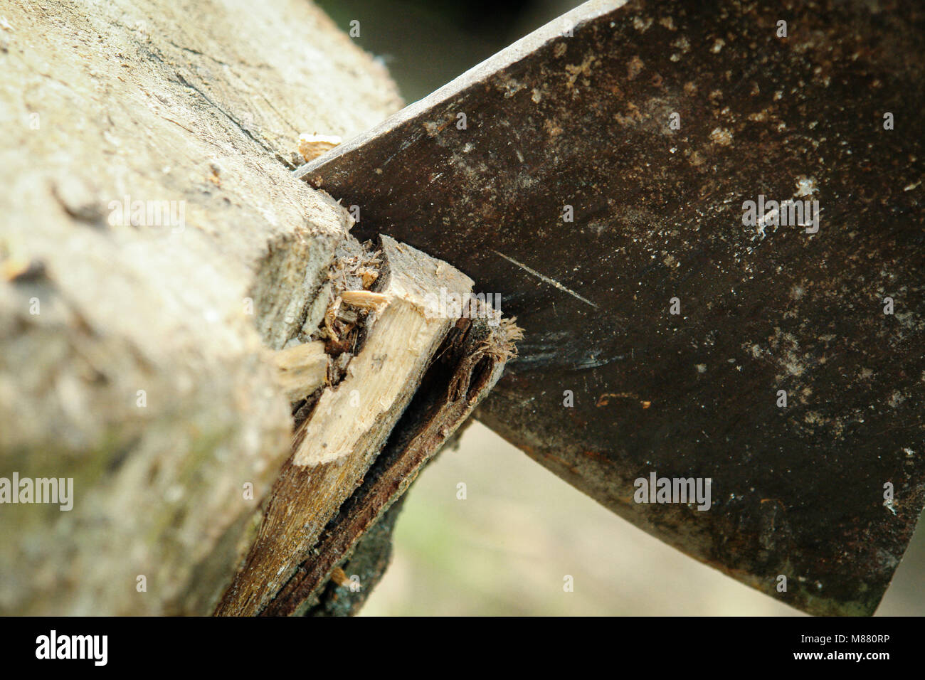 The Ax In The Stump Stock Photo Alamy