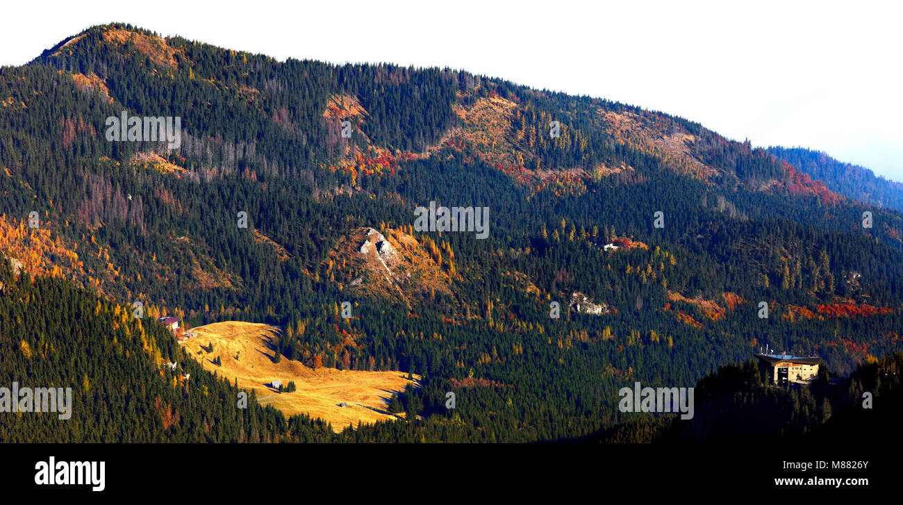 Poland, Tatra Mountains, Zakopane - Bystrej Valley, Kalatowki meadow, Krokiew and Siwarowe Siodlo peaks Stock Photo