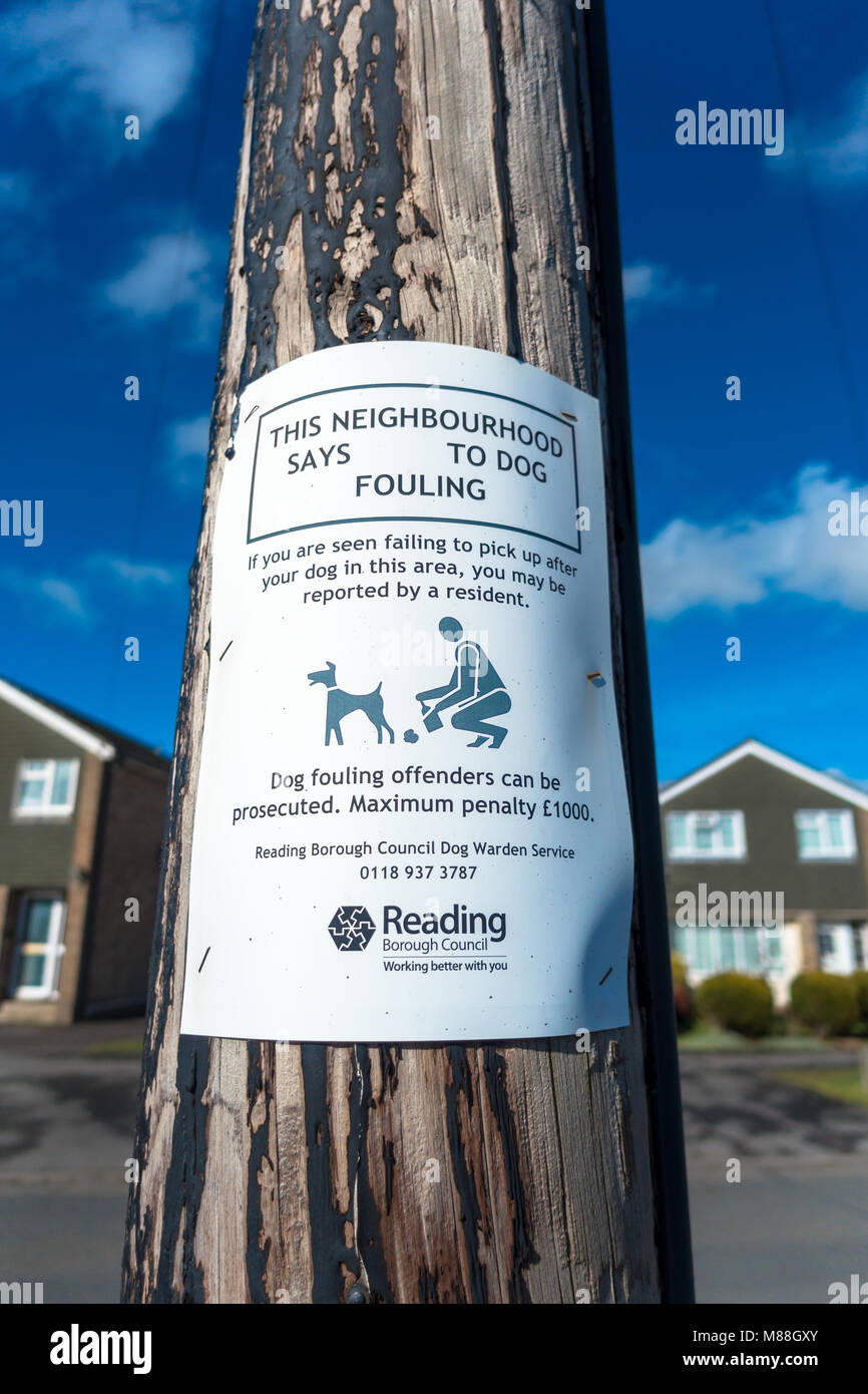 A notice about dog fouling attached to a wooden telegraph pole in Reading, UK. Stock Photo