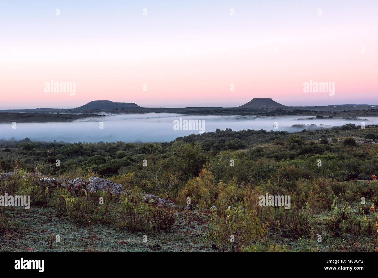 Idyllic landscape of Cuchilla del Ombu, hills in Tacuarembo, north-central Uruguay Stock Photo