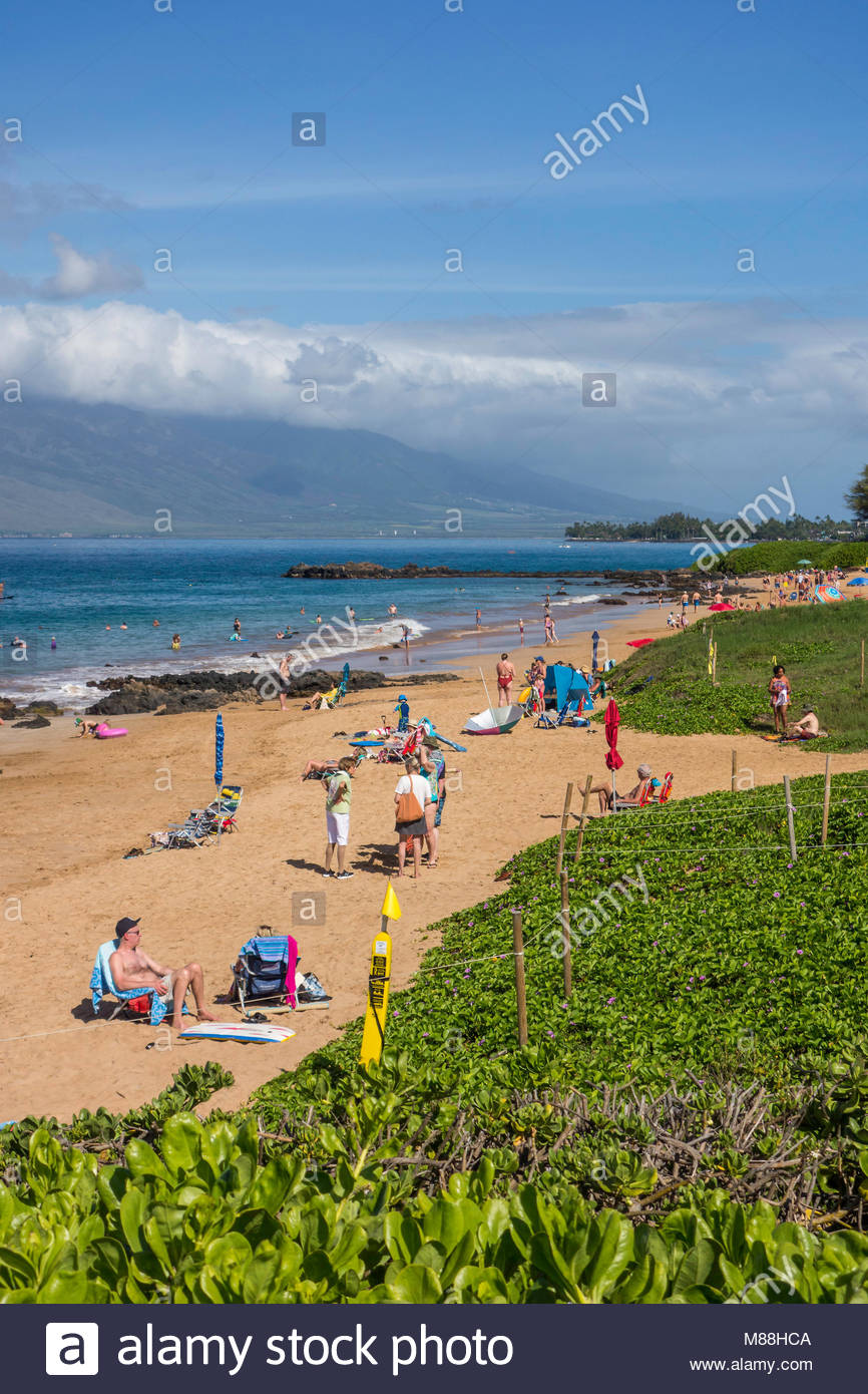 Dune Anchor High Resolution Stock Photography and Images Alamy