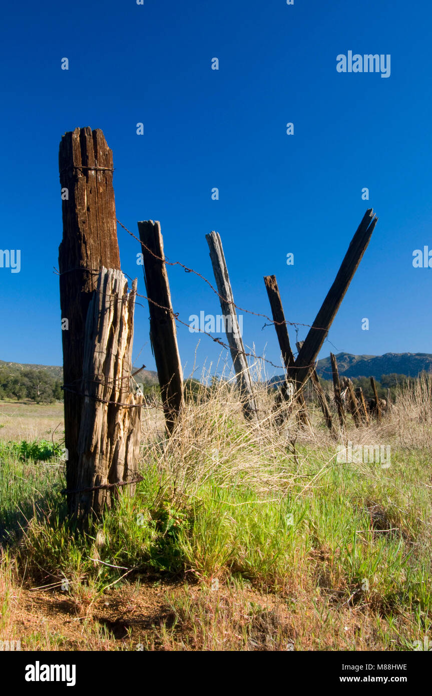 Fence in Cottonwood Valley along Pacific Crest Trail, Cleveland National Forest, California