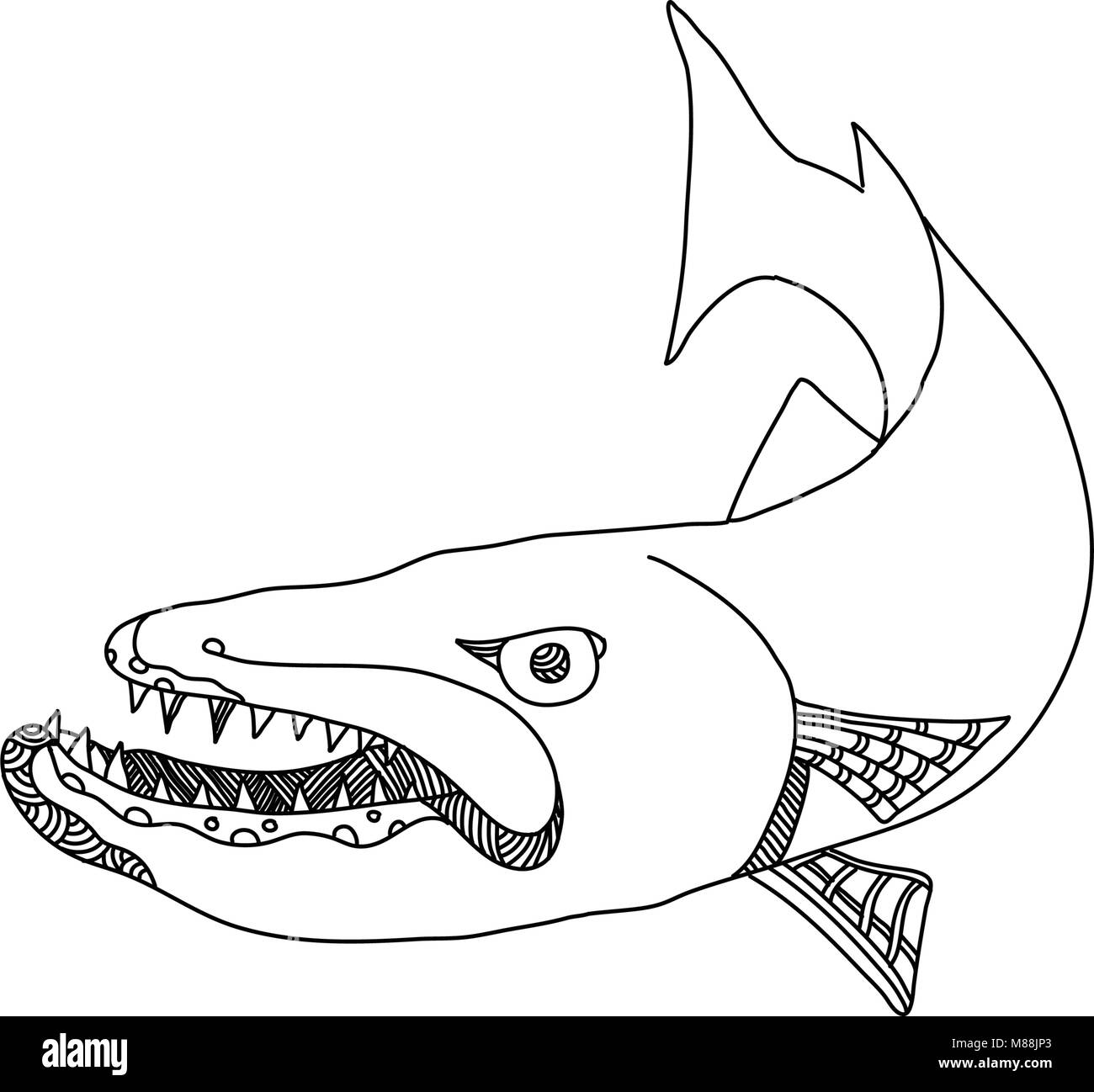 A Collection Of Doodle Art Illustrations That Includes The Following Stock Vector Image Art Alamy