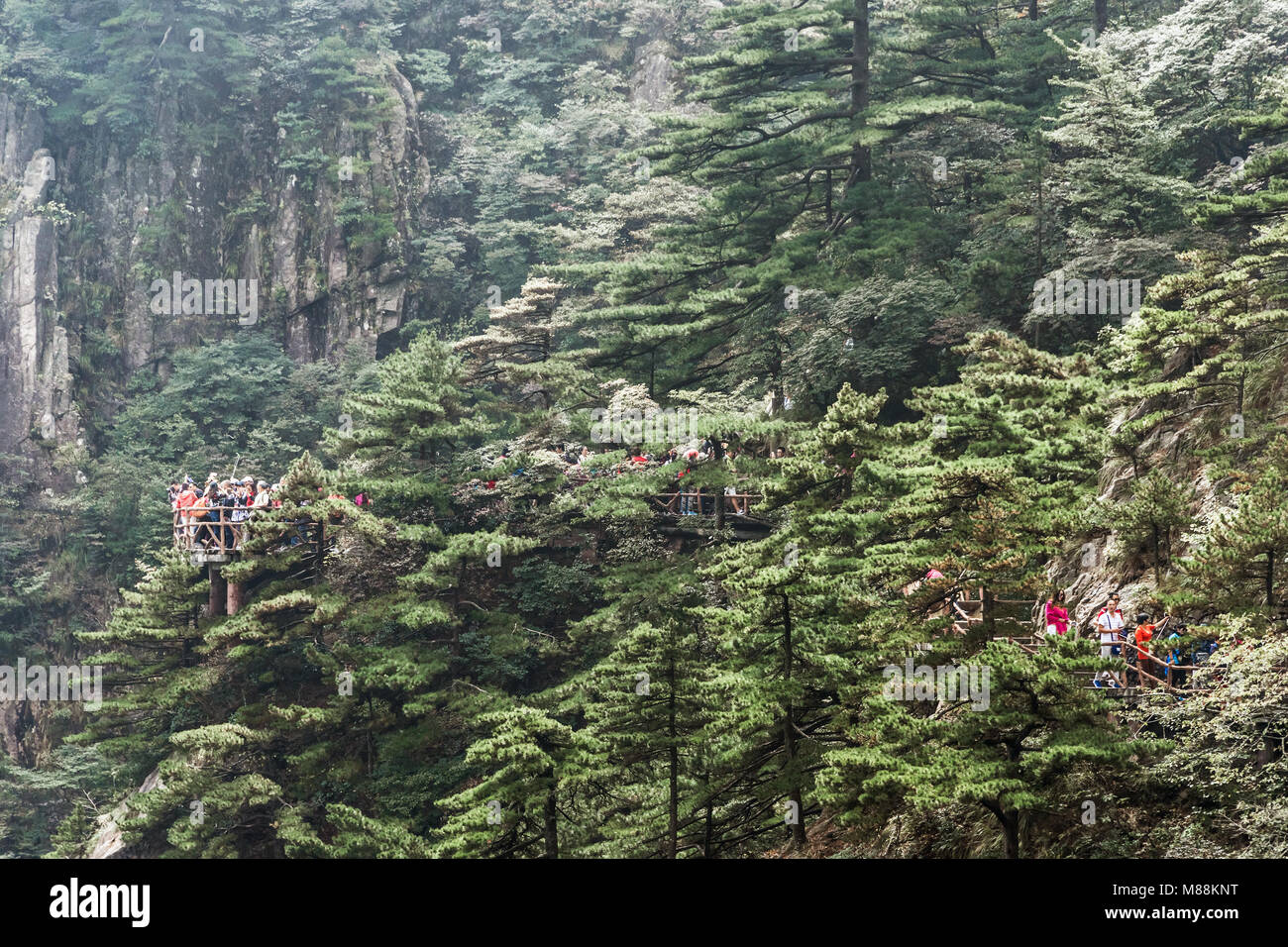 Chinese tourists on a walkway in Huangshan National Park, Anhui Province, China Stock Photo