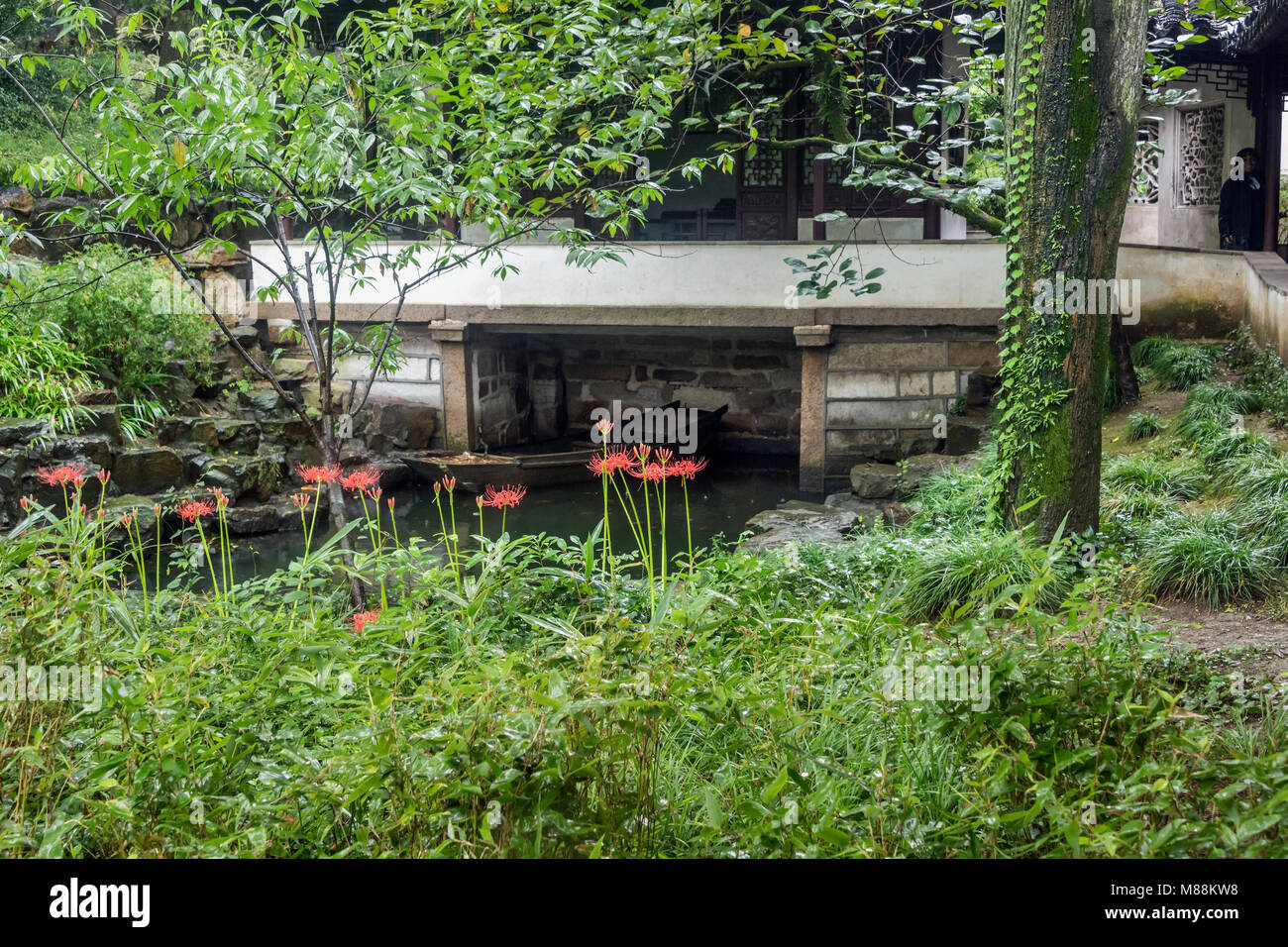 Spider lily Lycoris radiata and pond with punt boat at the Liu Yuan Classical Garden, Suzhou, China Stock Photo