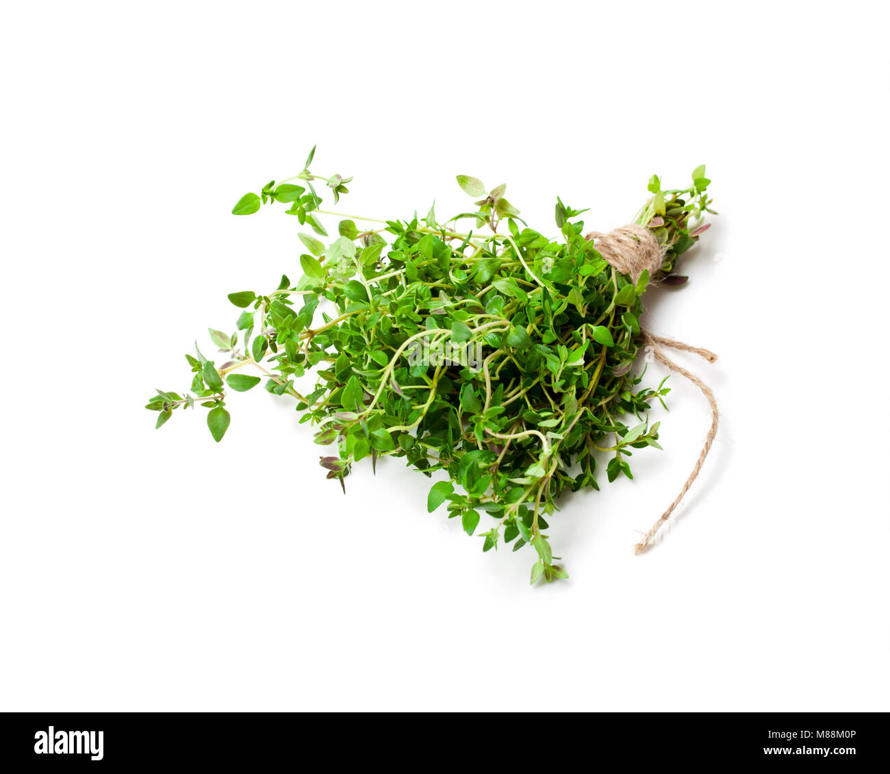 Fresh bunch of thyme on white table Stock Photo Alamy