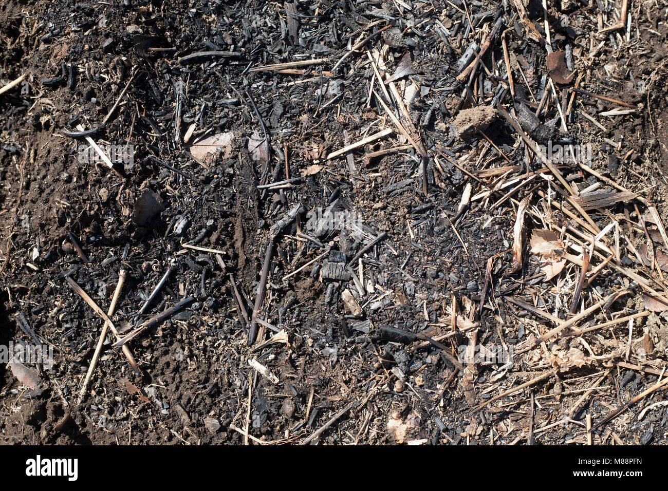 Burnt wood chips for soil of farming Stock Photo Alamy