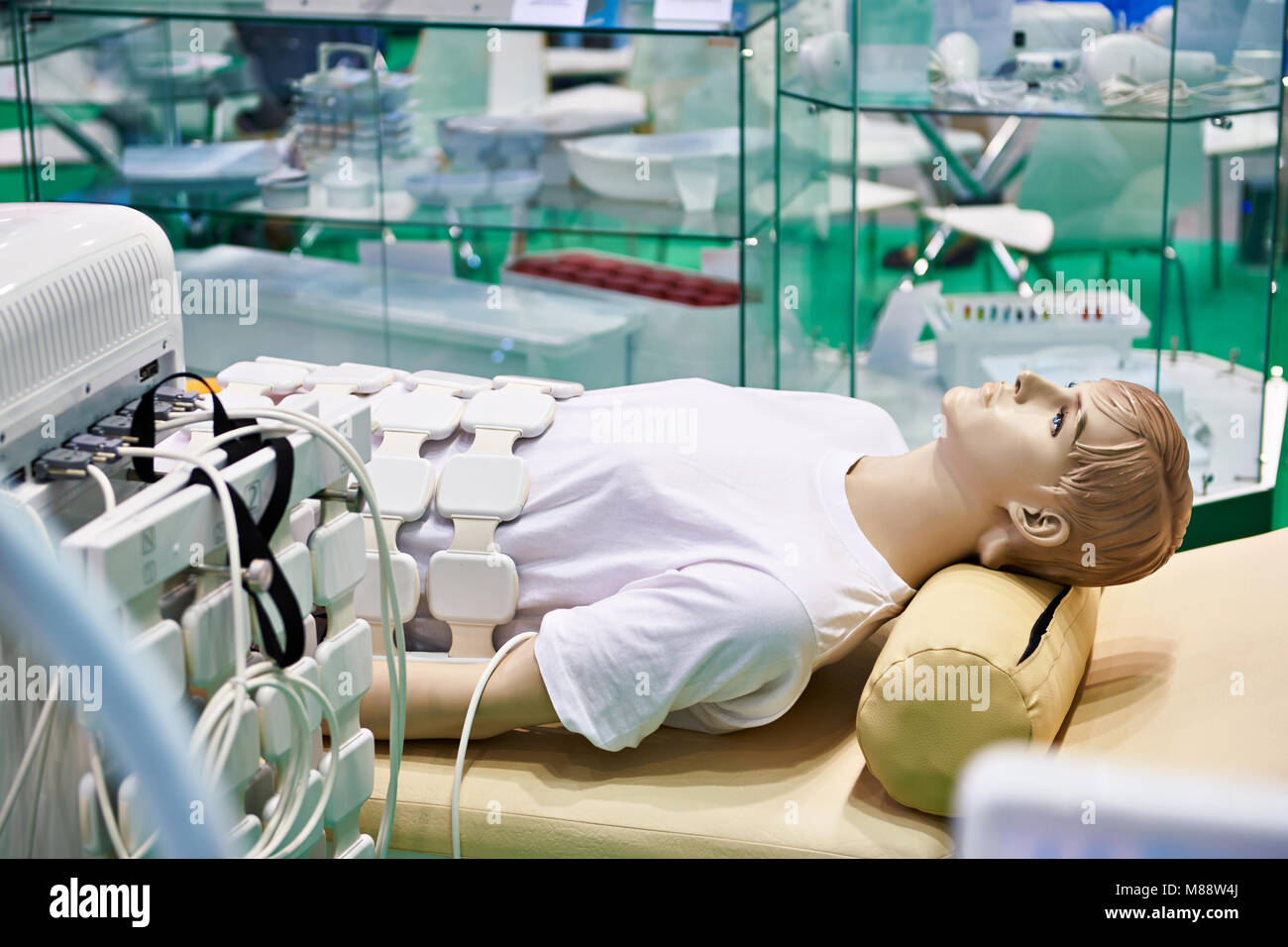 Patients model for training doctors in an educational center Stock Photo