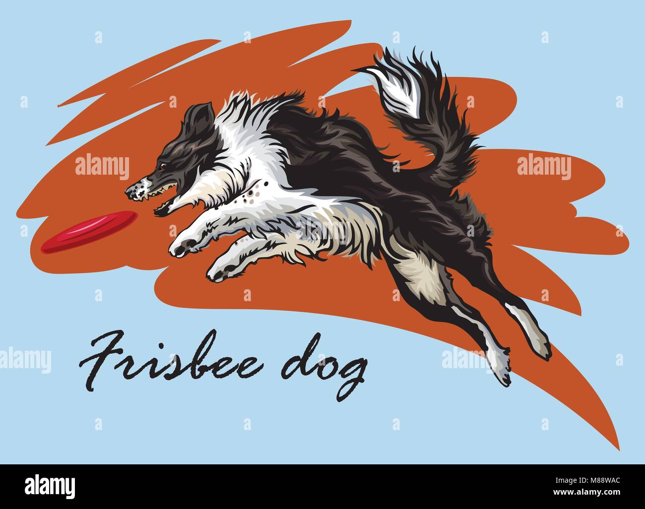 Vector colorful illustration with dog (border collie) isolated on blue and red background. Fluffy black and white dog in profile view jumping and catc Stock Vector