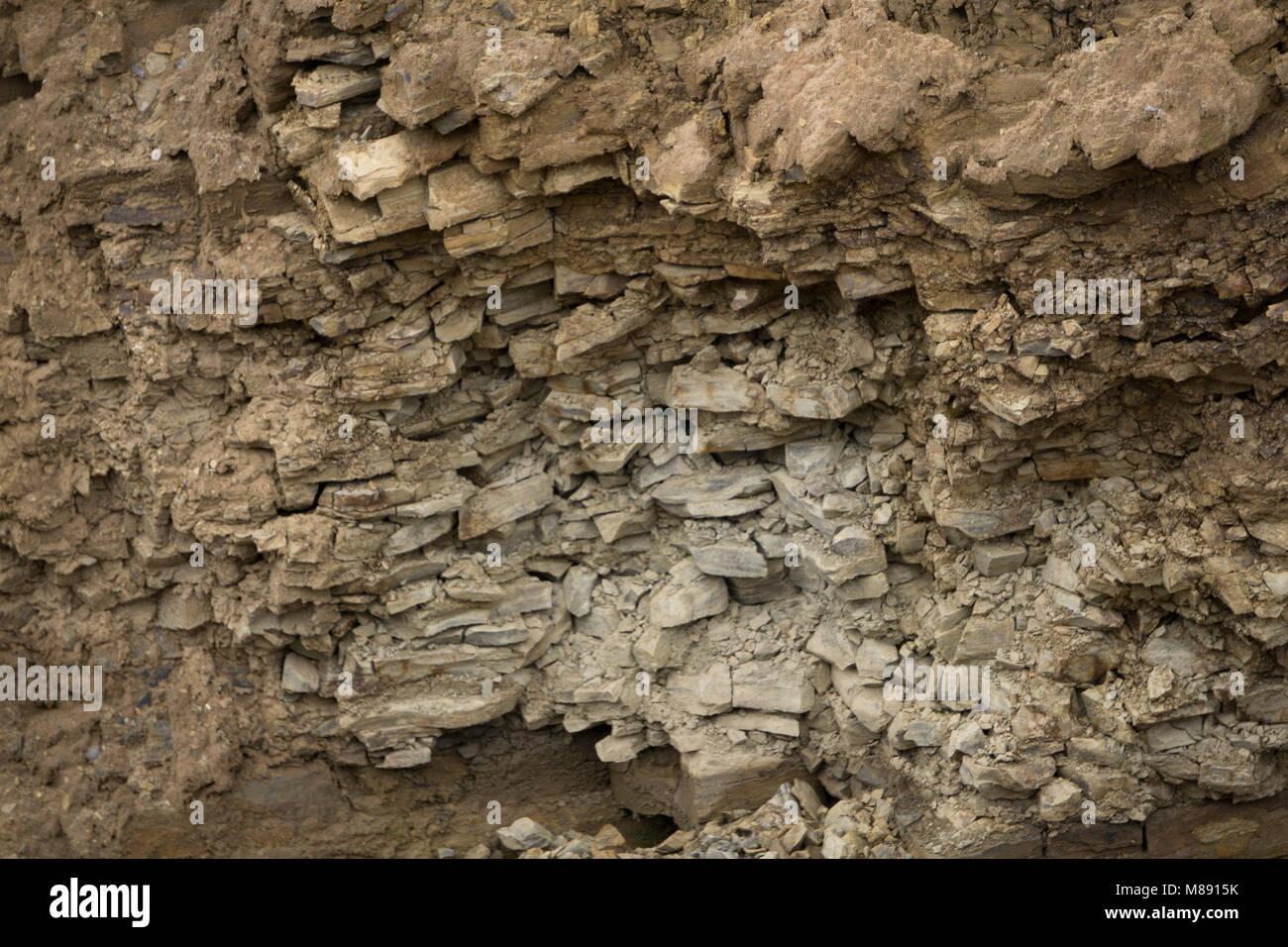 Soil cross section sand hi-res stock photography and images - Alamy