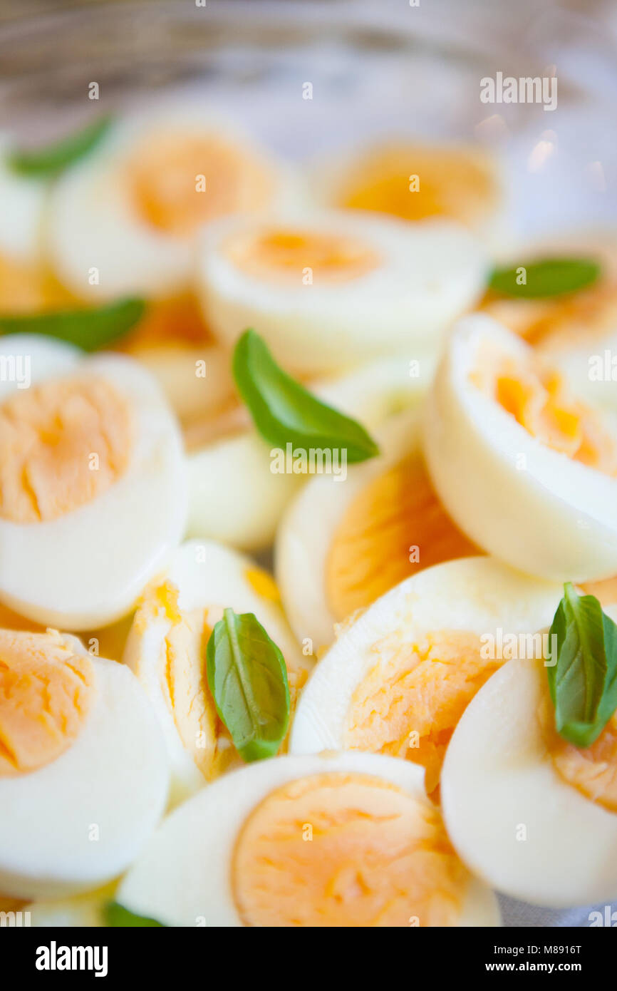 Boiled eggs and basil leaves Stock Photo Alamy
