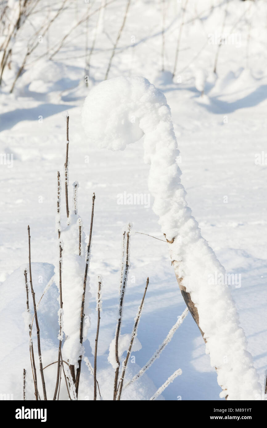 Stick and snow Stock Photo Alamy