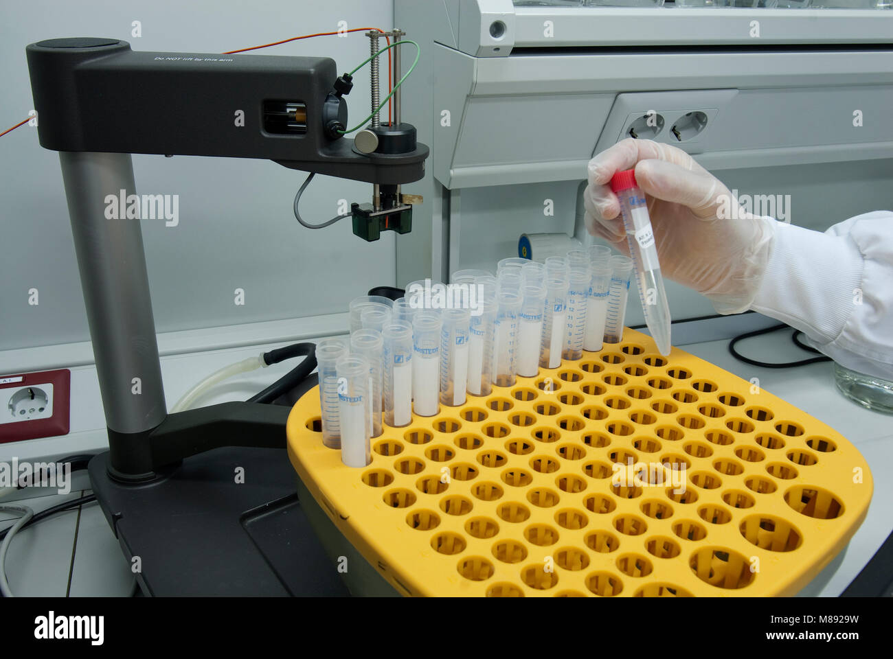Handling rack for test tubes, laboratory Stock Photo Alamy