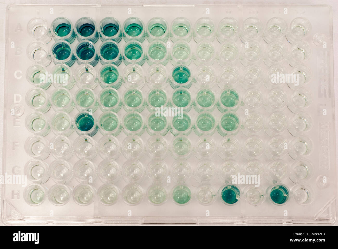 Microtiter plate hires stock photography and images Alamy