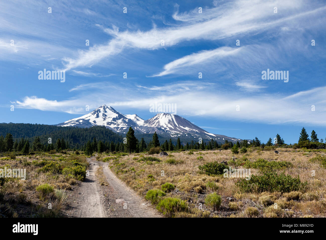 CA02861-00...CALIFORNIA - Bolam Road and Mount Shasta in the Mount Shasta National Forest. Stock Photo