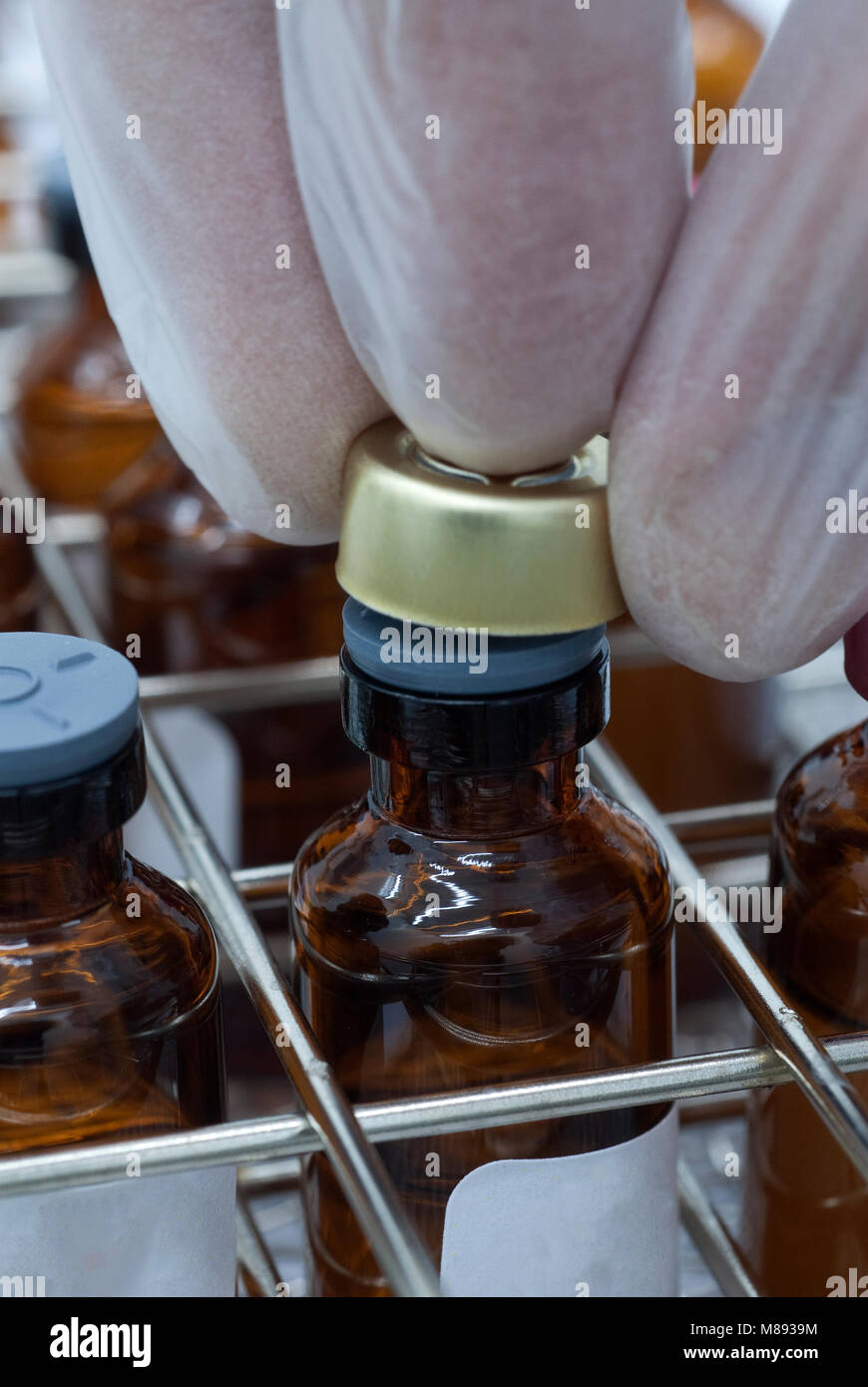 Pathogen laboratory hi-res stock photography and images - Alamy