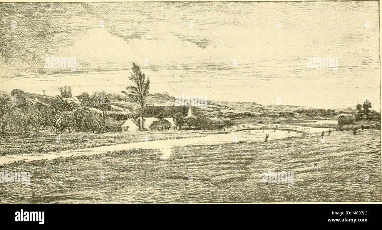 Essex naturalist being the journal of the Essex Field Club (1887) (14762076856 Stock Photo Alamy