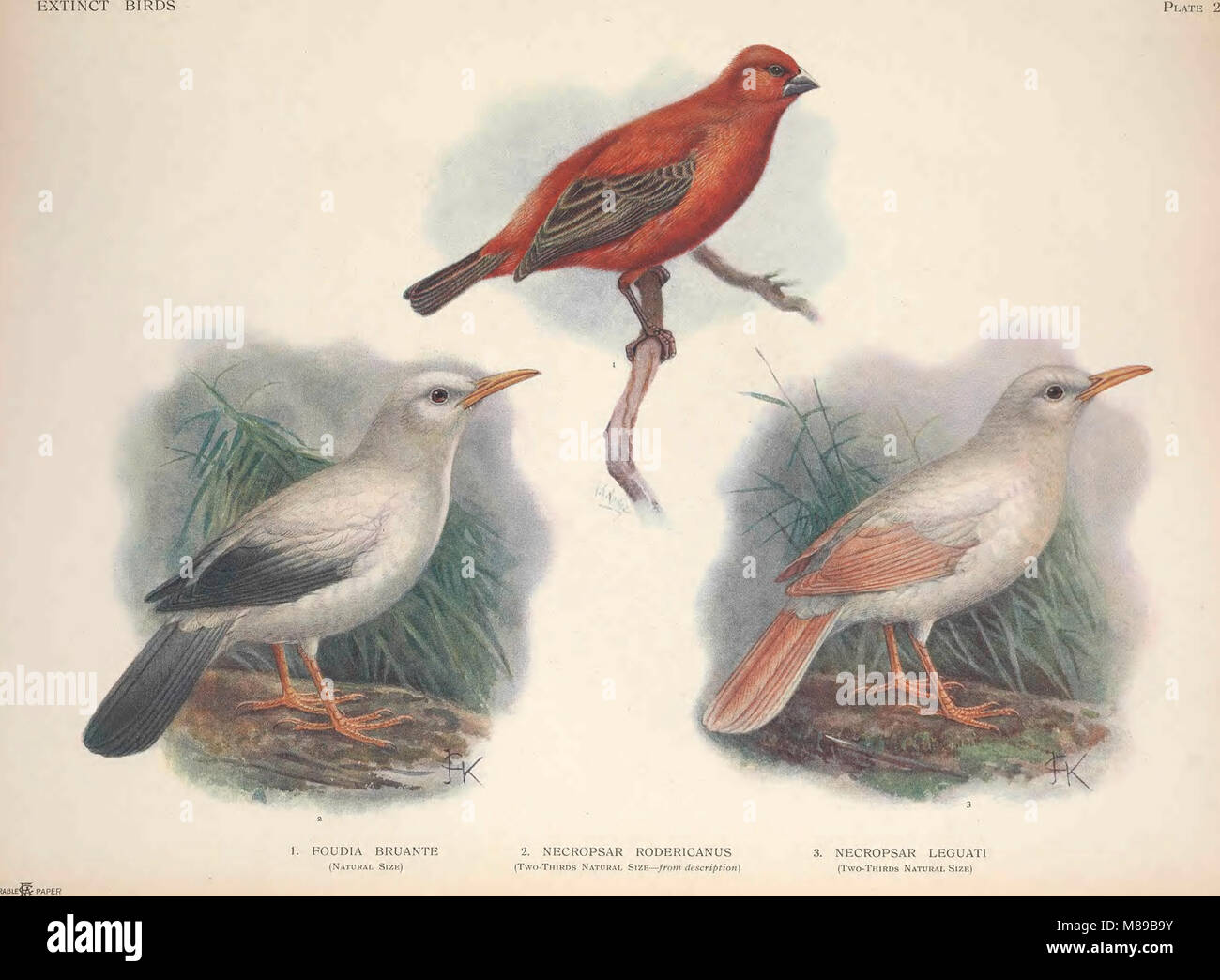 This volume provides an account of bird species that have become ...