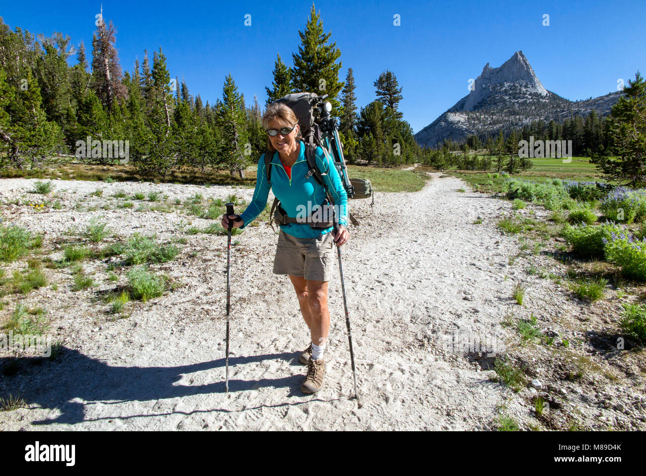 CA03338-00...CALIFORNIA - Vicky Spring hiking the John Muir Trail near Catherdral Peak, Yosemite National Park. (MR# S1) Stock Photo