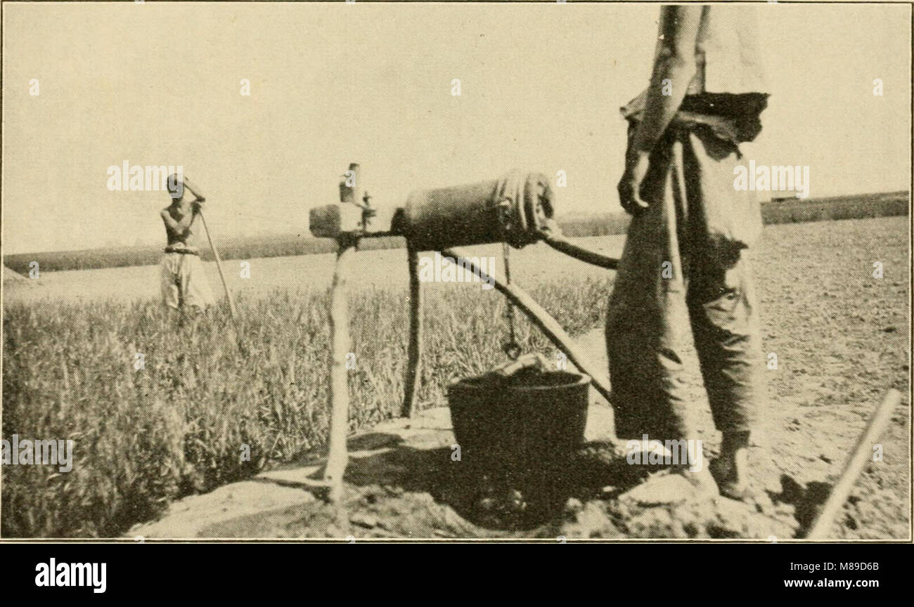 Farmers of forty centuries; or, Permanent agriculture in China, Korea