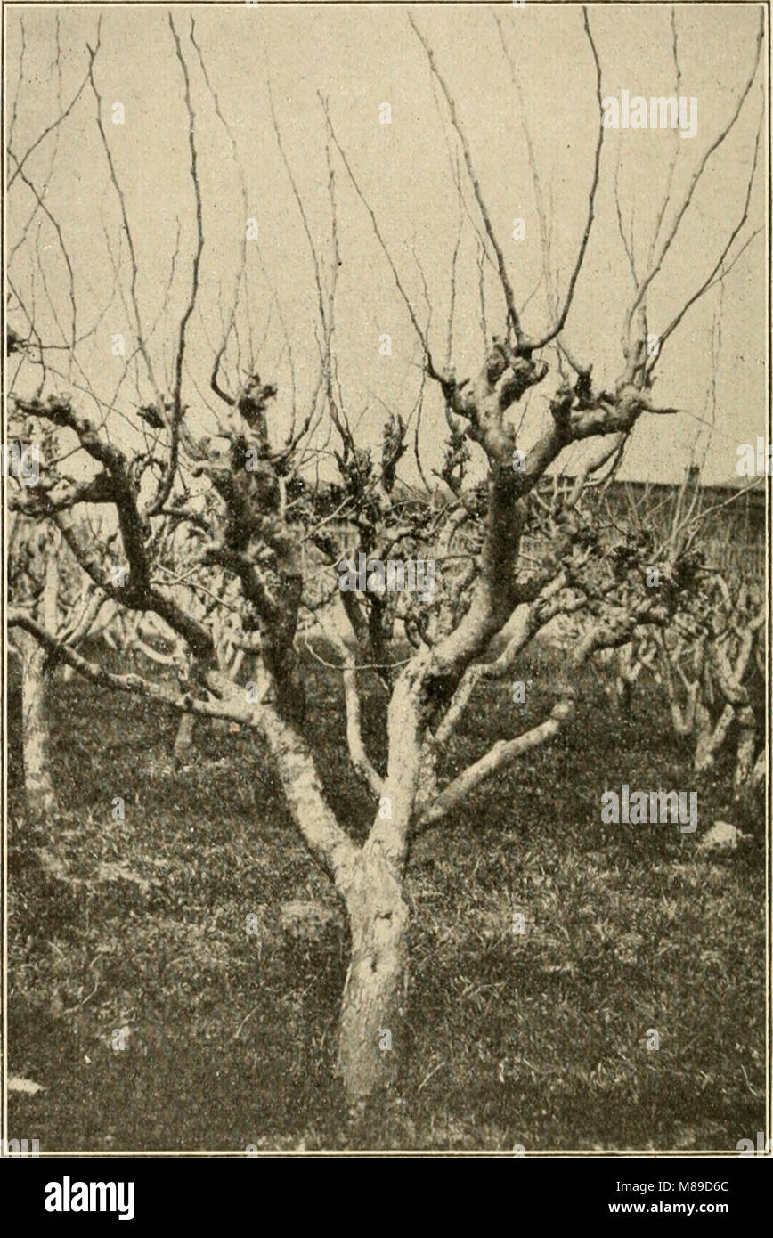 Farmers of forty centuries; or, Permanent agriculture in China, Korea
