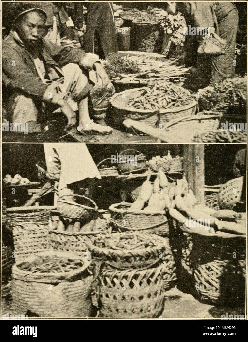 Farmers of forty centuries; or, Permanent agriculture in China, Korea