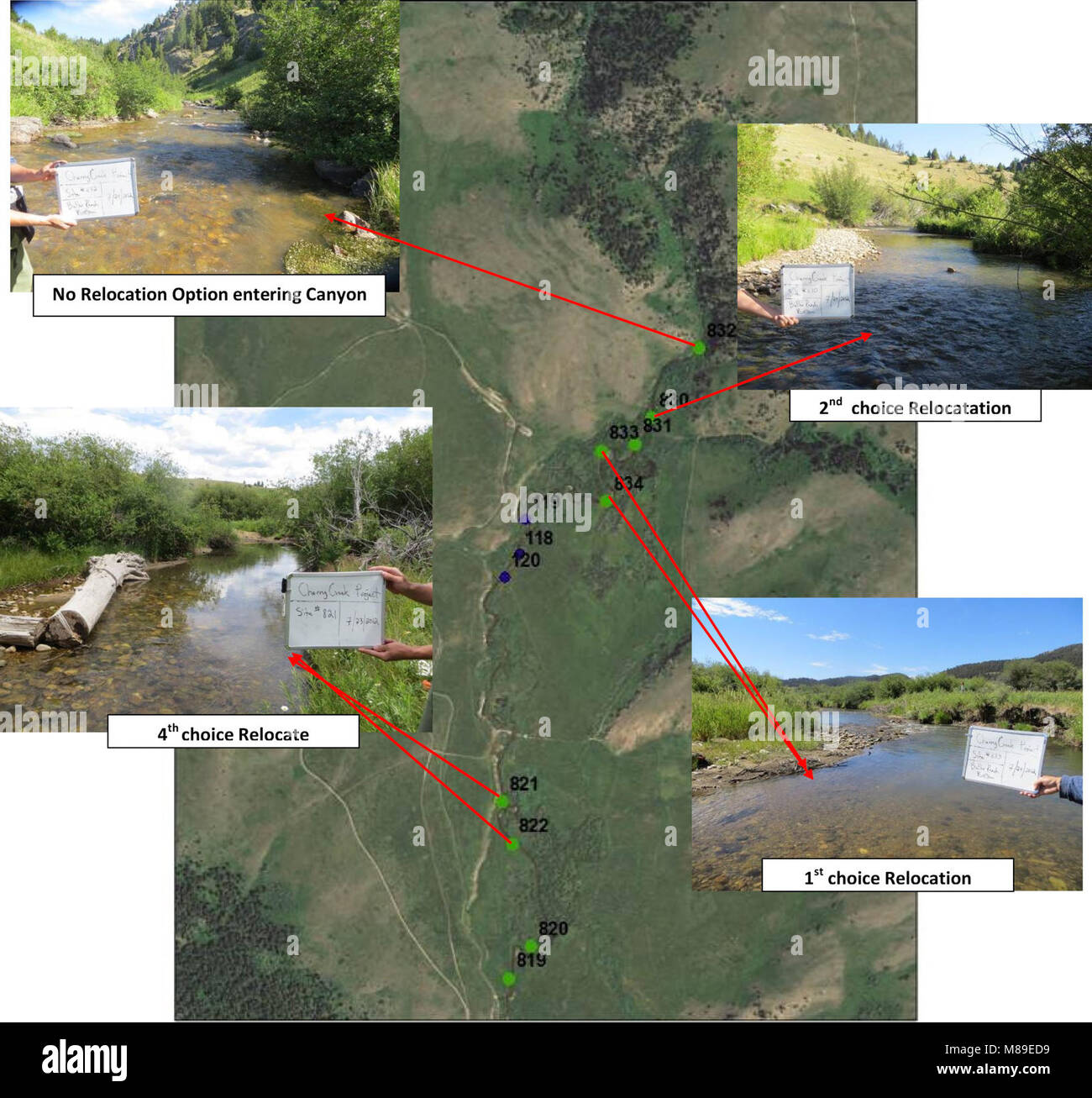 Feasibility analysis of translocating western pearlshell mussels into the Cherry Creek Native 