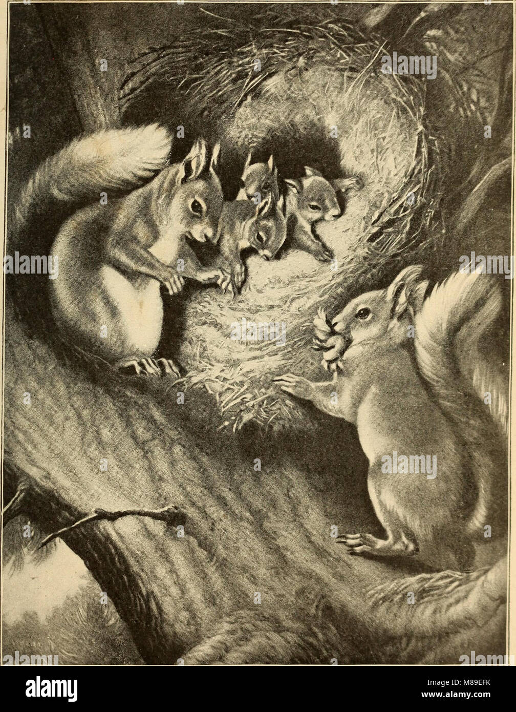 Feminology; a guide for womankind, giving in detail instructions as to