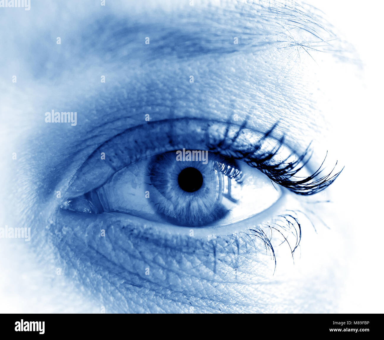 Macro of human eye, image of a Stock Photo Alamy