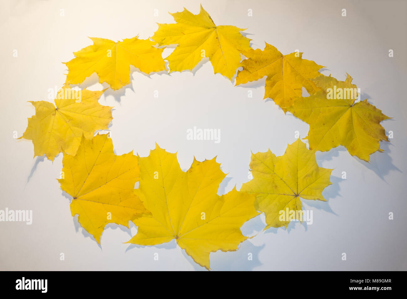 Empty white desktop with multicolored maple foliage frame around. Background with copy space, natural leaves decoration Stock Photo