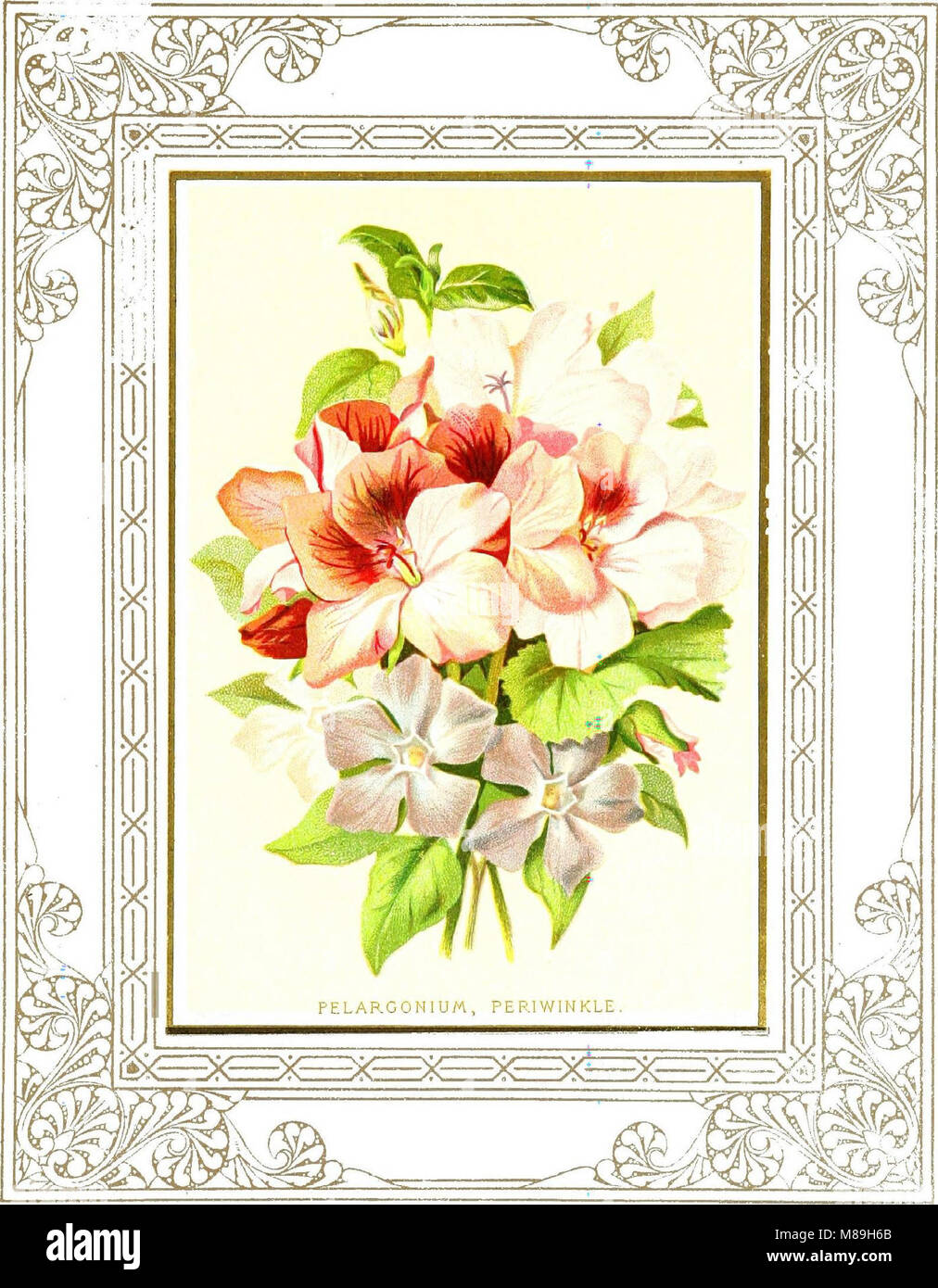 DOVES VIOLETS PURPLE WISTERIA SPRING FLORAL GERMAN PAPER CUT ART EMBOSSED