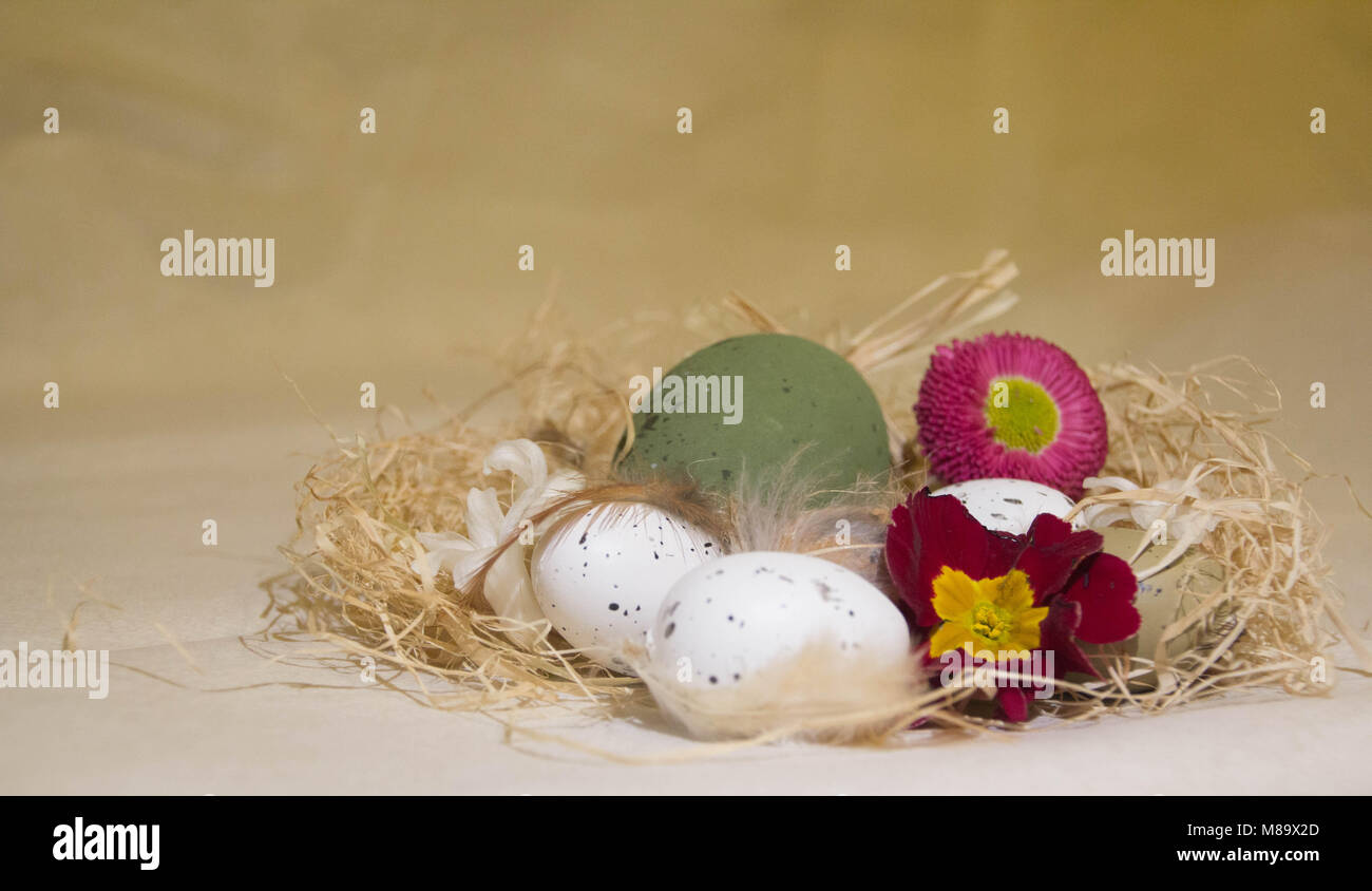 Easter eggs with flowers Stock Photo