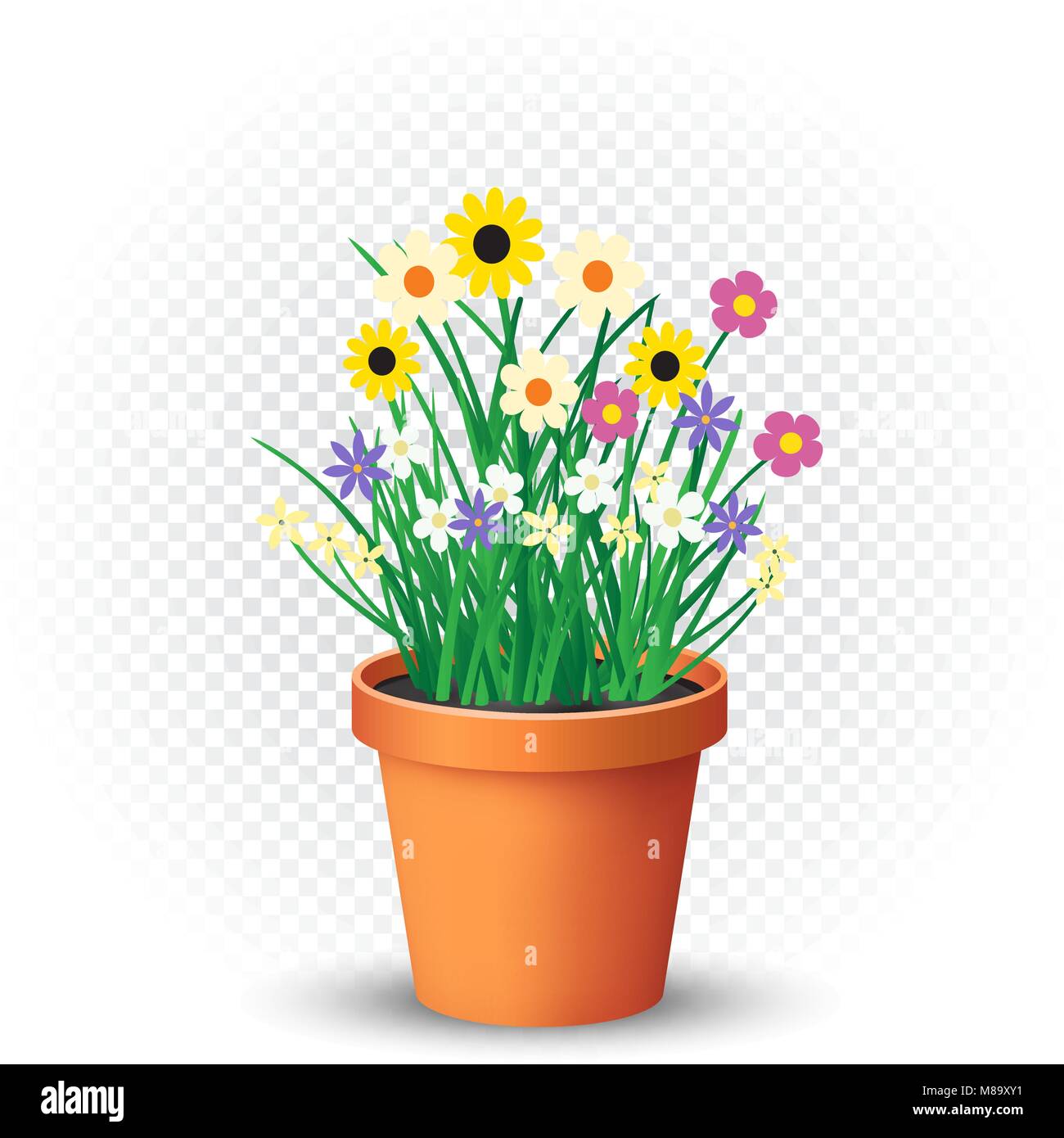 Flowerpot with flowers plant and grass on white transparent background.  Nature spring or summer abstract flora illustration. Chamomile cornflower  viol Stock Vector Image & Art - Alamy