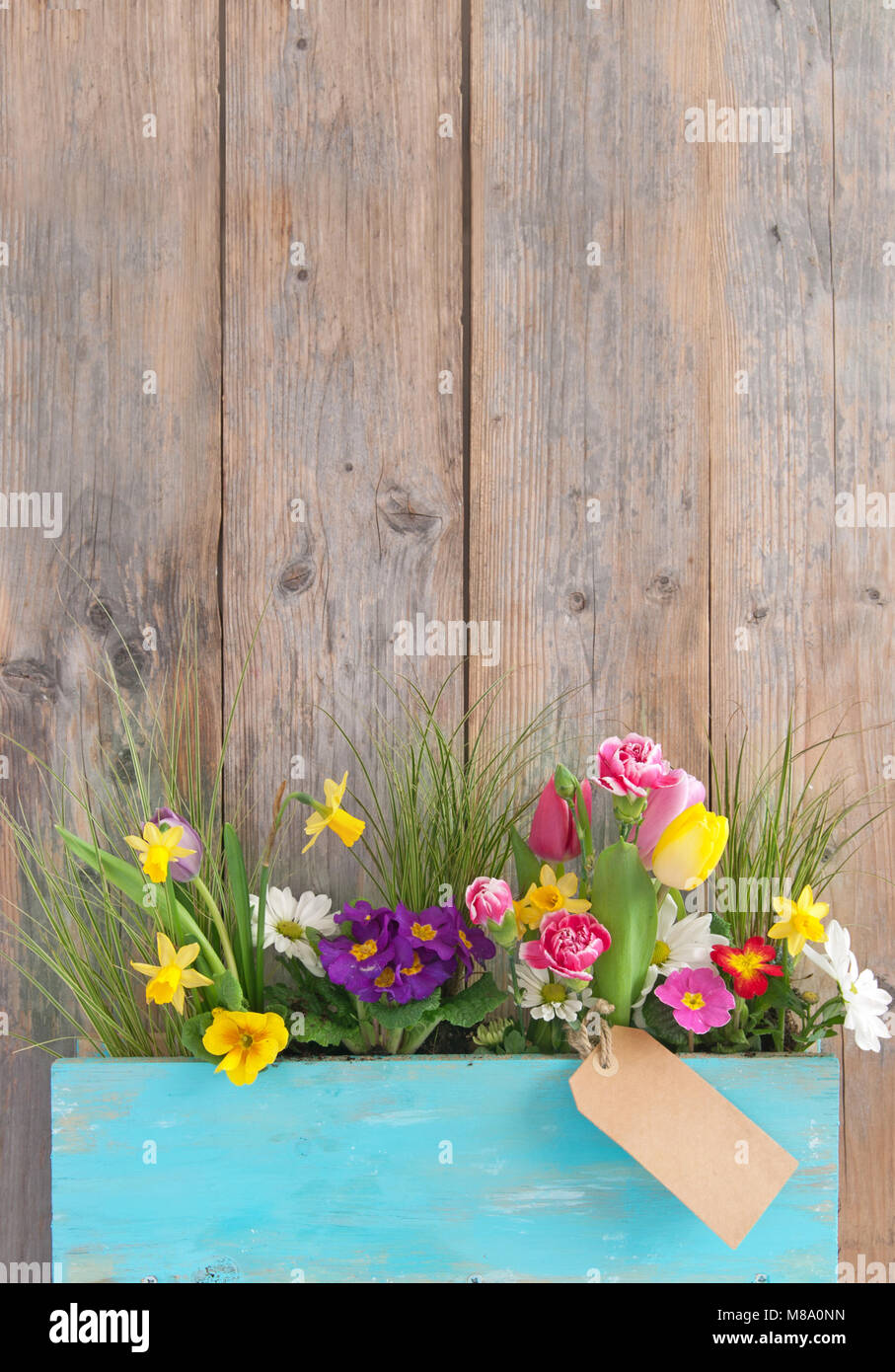 Assorted spring flowers inside a wooden plant holder with blank label ...