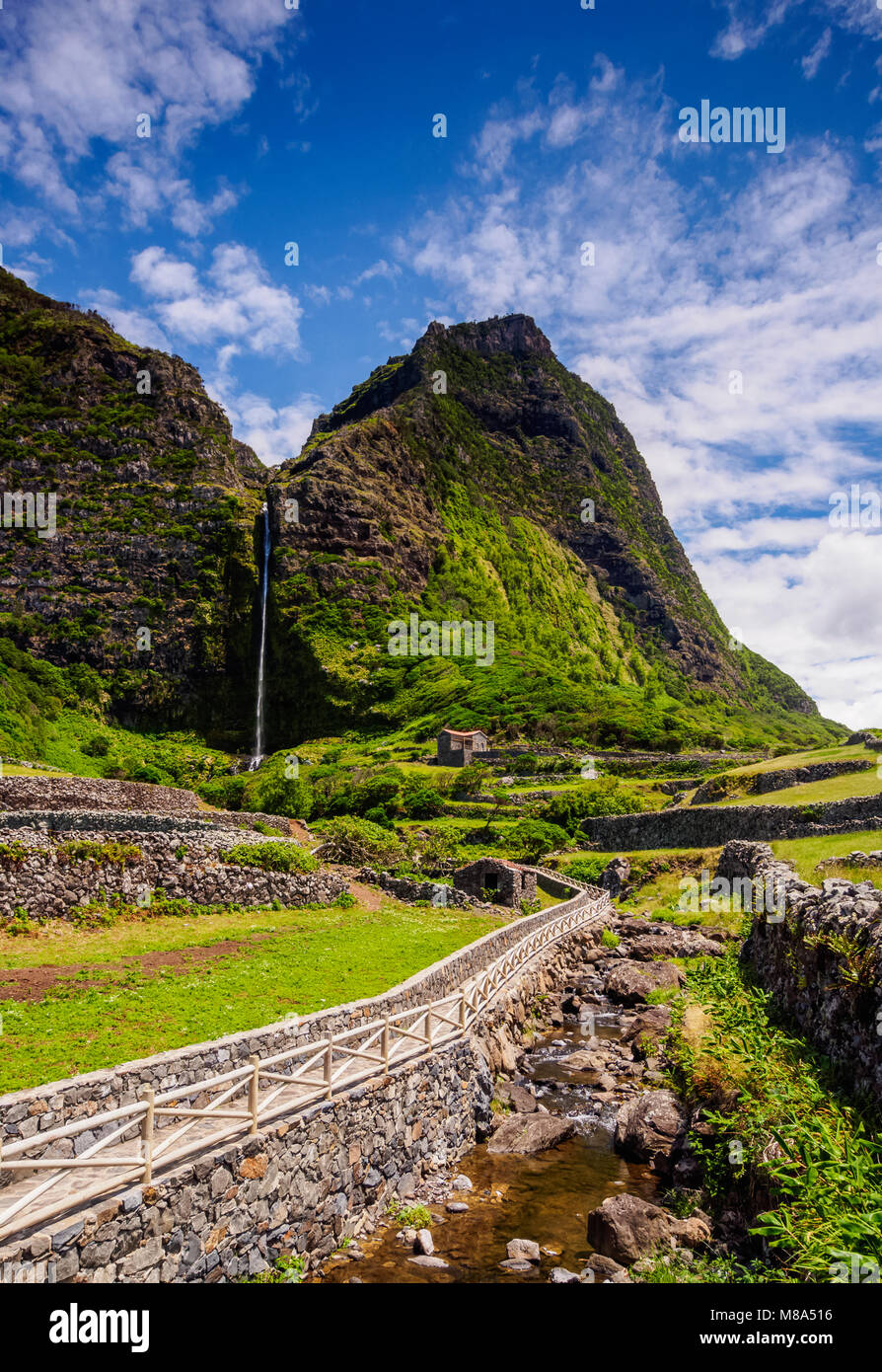 Faja grande flores azores hi-res stock photography and images - Alamy