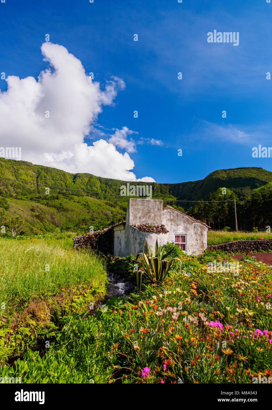 Flores Island, Azores, Portugal Stock Photo