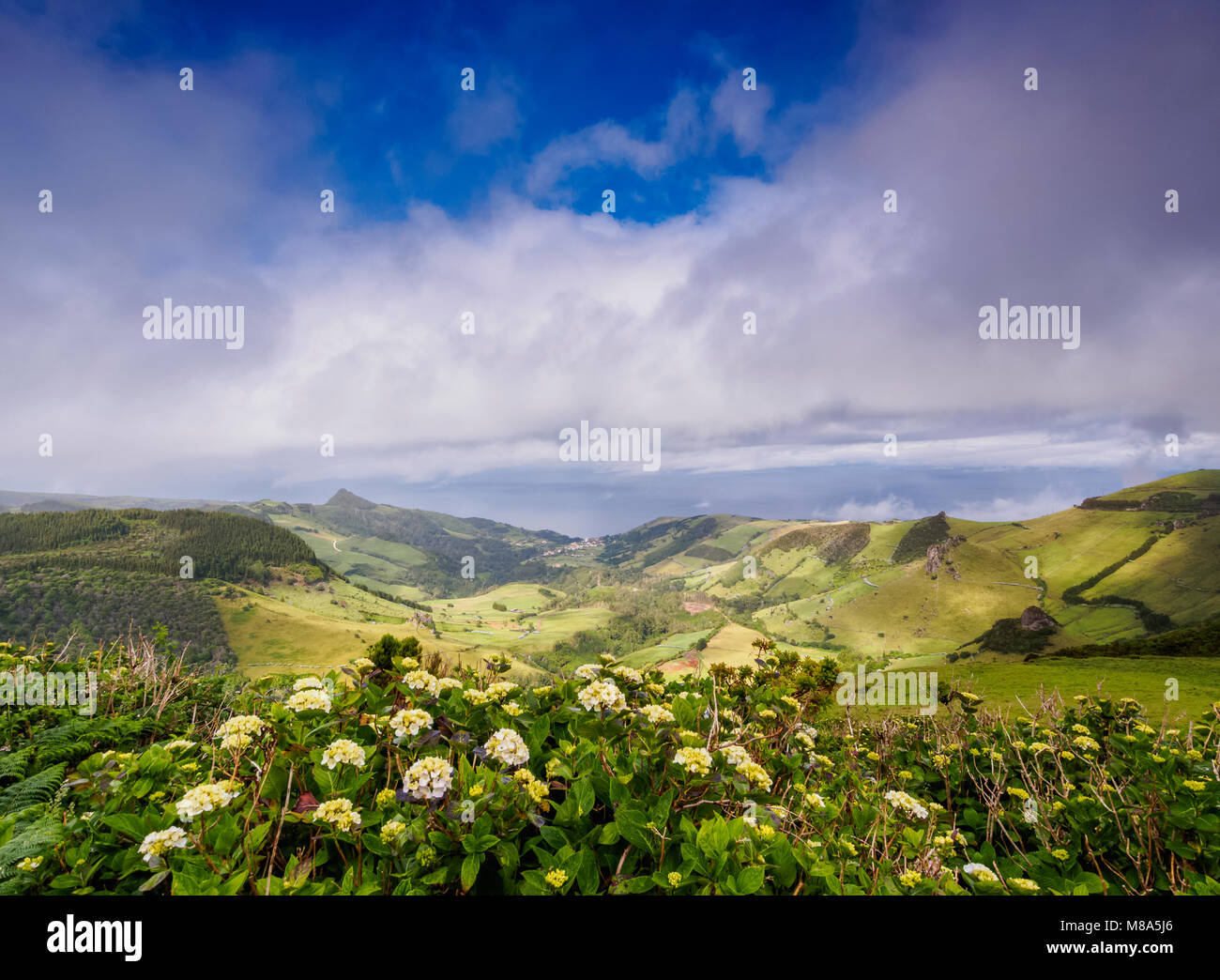 Landscape of Flores Island, Azores, Portugal Stock Photo