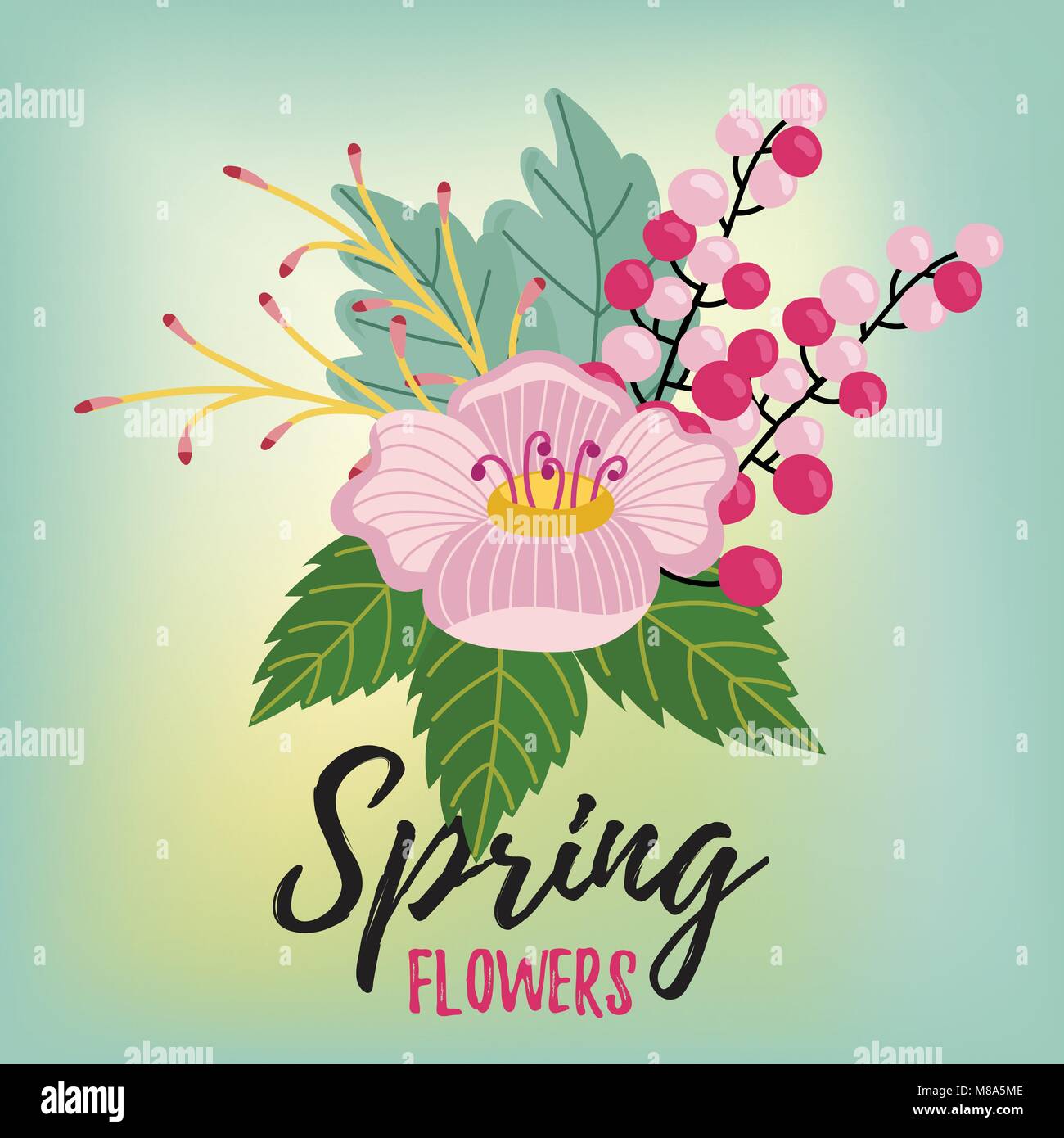 Flowers isolated vector Stock Vector Image & Art - Alamy