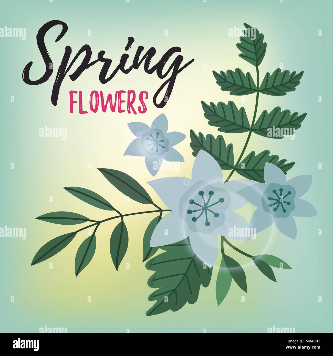 Flowers isolated vector Stock Vector Image & Art - Alamy